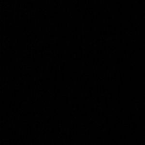 Meet your Posher, Cecilia